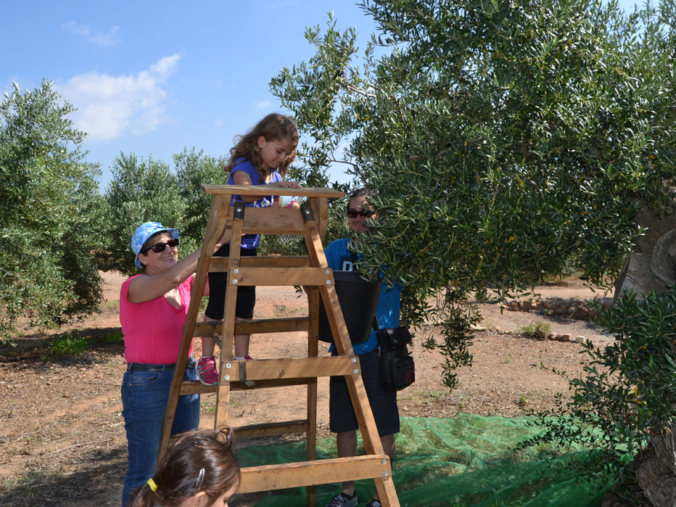 Visita riudecanyes oleoturismo en familia 2