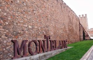 visita-guiada-a-Montblanc